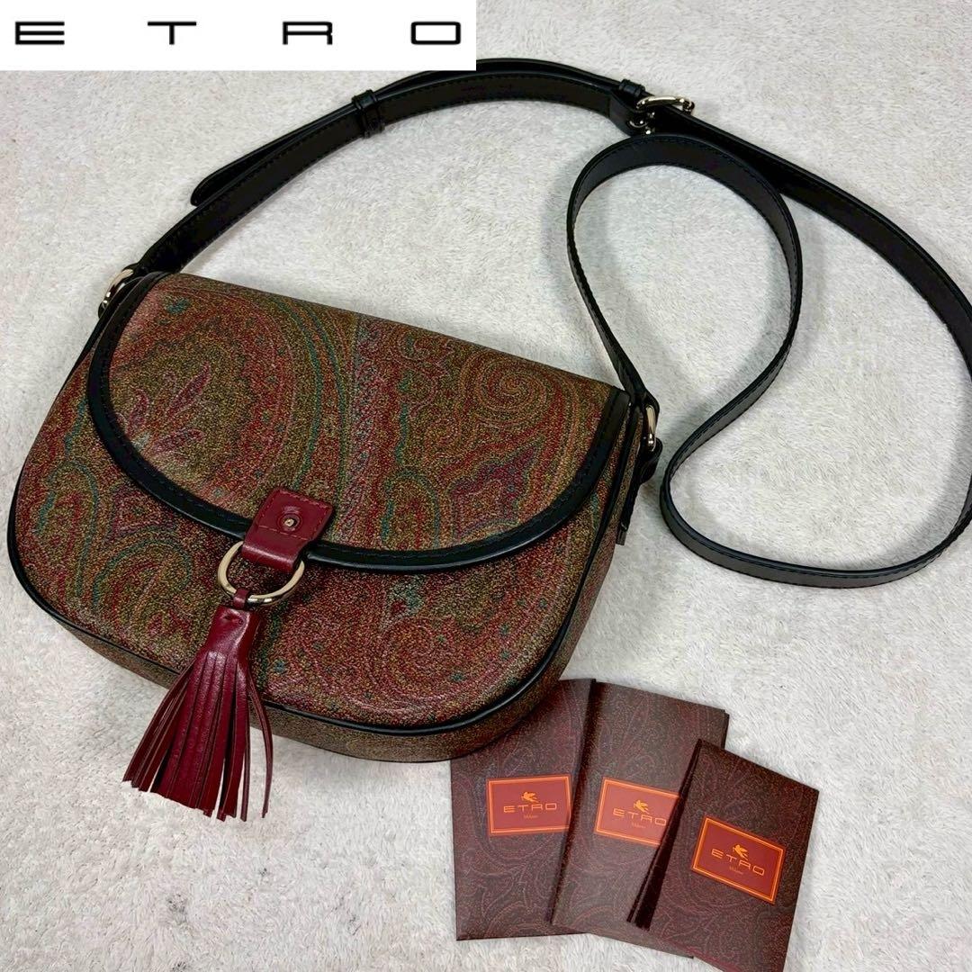 【未使用級✨】エトロ ショルダー　タッセル ペイズリー柄 レザー PVC ミニ