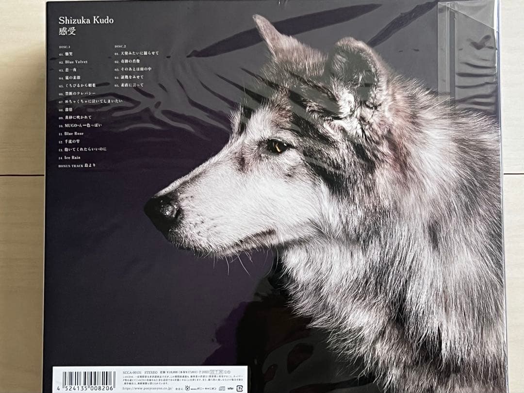 本日31日限定値下げ！工藤静香　感受　完全受注生産限定盤