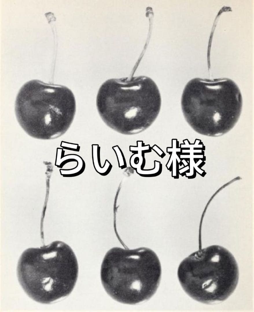 Liscalla 花柄ロングソックス 2点セット