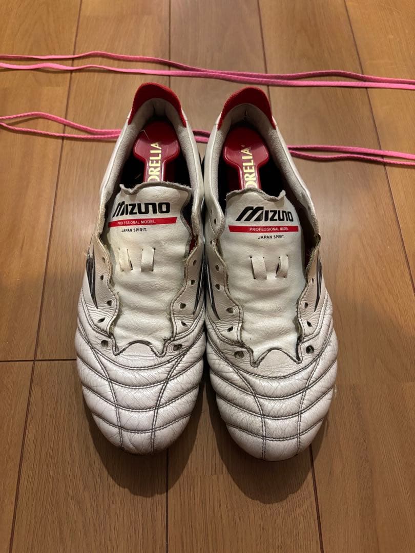 25センチ　モレリアネオIV モレリアネオ4