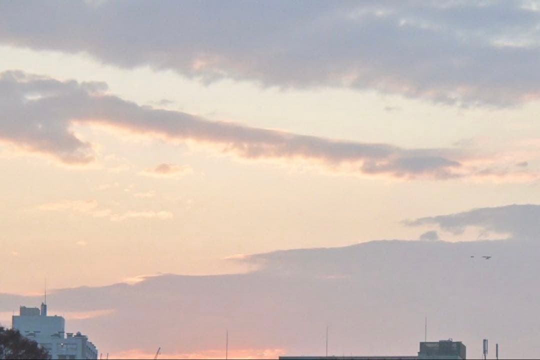 専用　clinic note10冊セット