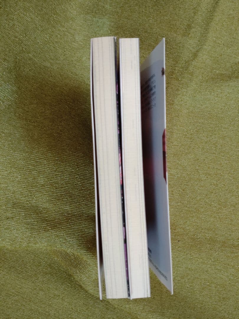 Devil may cry デビルメイクライ 1巻 2巻 セット 文庫