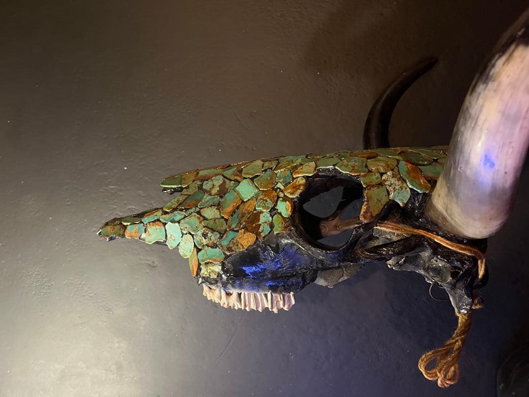 ネイティブアメリカン　牛の頭骨　ターコイズの装飾