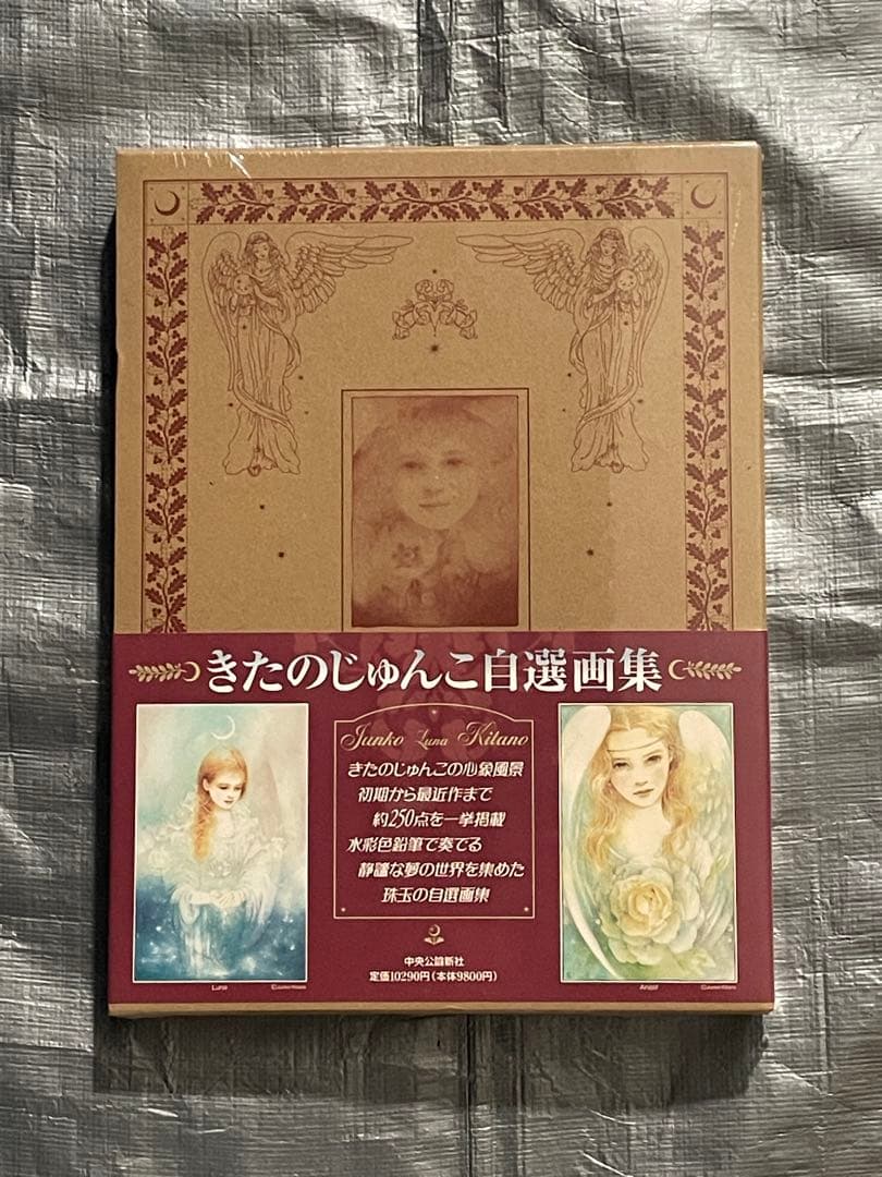 きたのじゅんこ自選画集